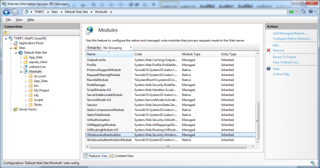 Modules implementing Windows authentication